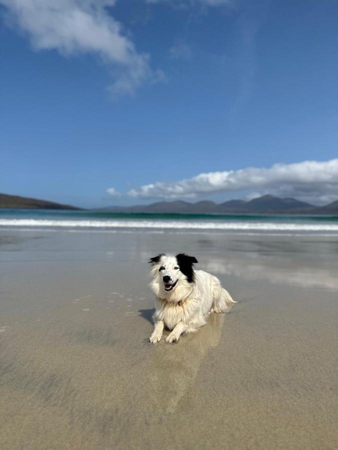 Kinnoull House Near Stornoway Hot-Tub Sauna Pet Friendly Garrabost Ngoại thất bức ảnh